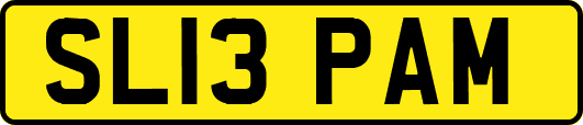 SL13PAM