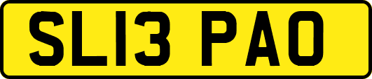 SL13PAO