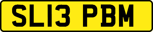 SL13PBM