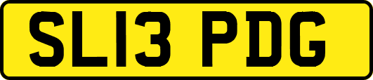 SL13PDG