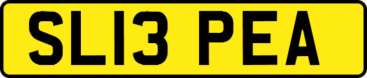SL13PEA