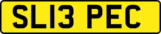 SL13PEC