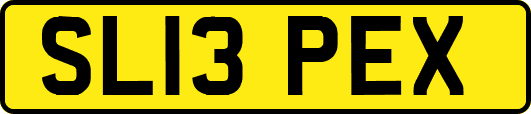 SL13PEX