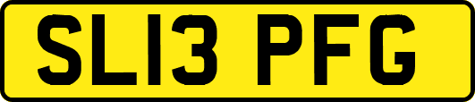 SL13PFG