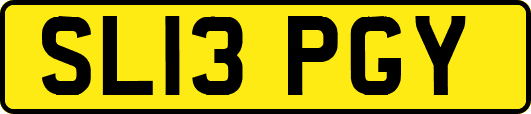 SL13PGY