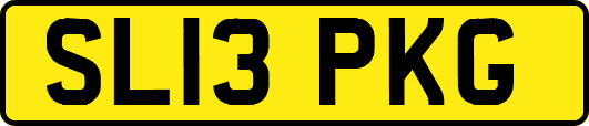 SL13PKG