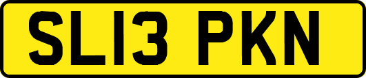 SL13PKN