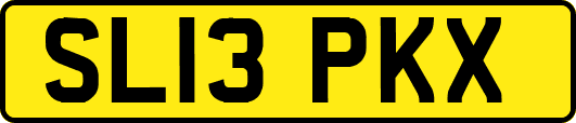 SL13PKX