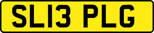 SL13PLG