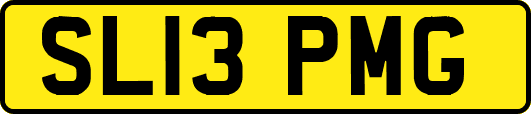 SL13PMG
