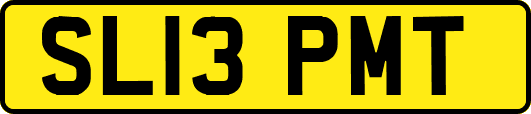 SL13PMT