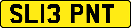 SL13PNT