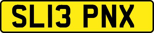 SL13PNX