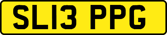 SL13PPG