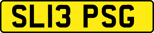 SL13PSG