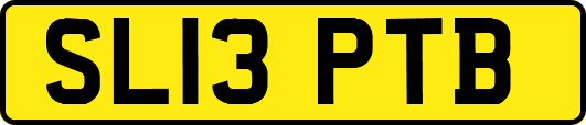 SL13PTB