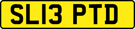 SL13PTD