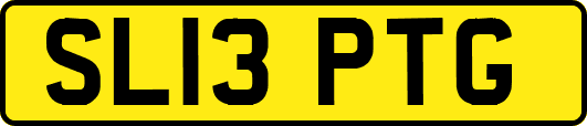 SL13PTG