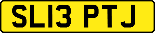 SL13PTJ
