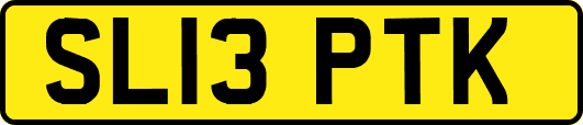 SL13PTK