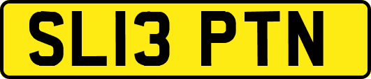SL13PTN