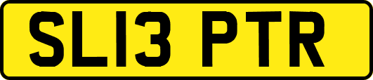 SL13PTR