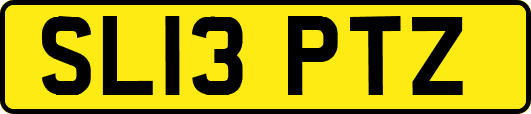 SL13PTZ