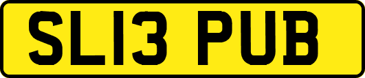 SL13PUB