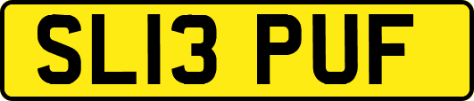 SL13PUF