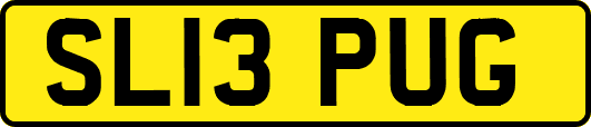 SL13PUG