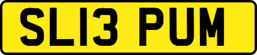 SL13PUM