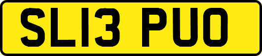 SL13PUO