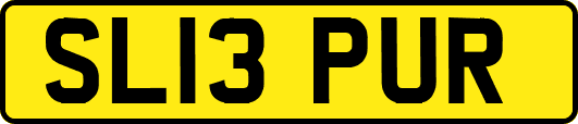 SL13PUR