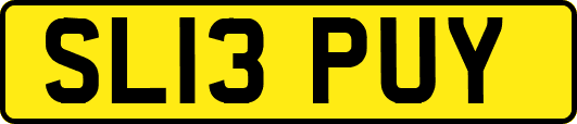 SL13PUY