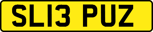SL13PUZ