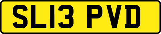 SL13PVD