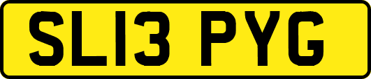 SL13PYG