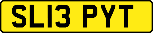 SL13PYT