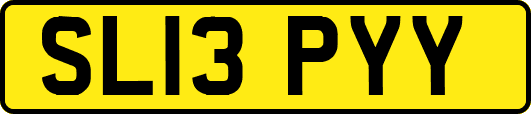 SL13PYY