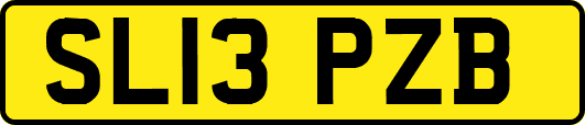 SL13PZB