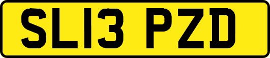 SL13PZD