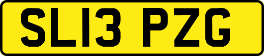 SL13PZG