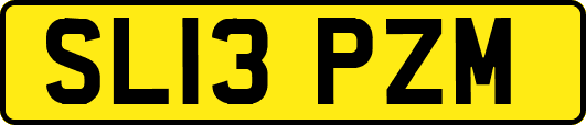 SL13PZM