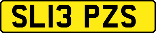 SL13PZS