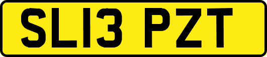 SL13PZT