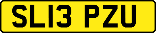 SL13PZU