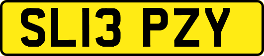 SL13PZY