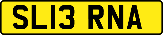 SL13RNA