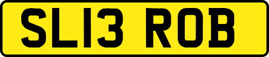SL13ROB
