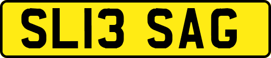 SL13SAG